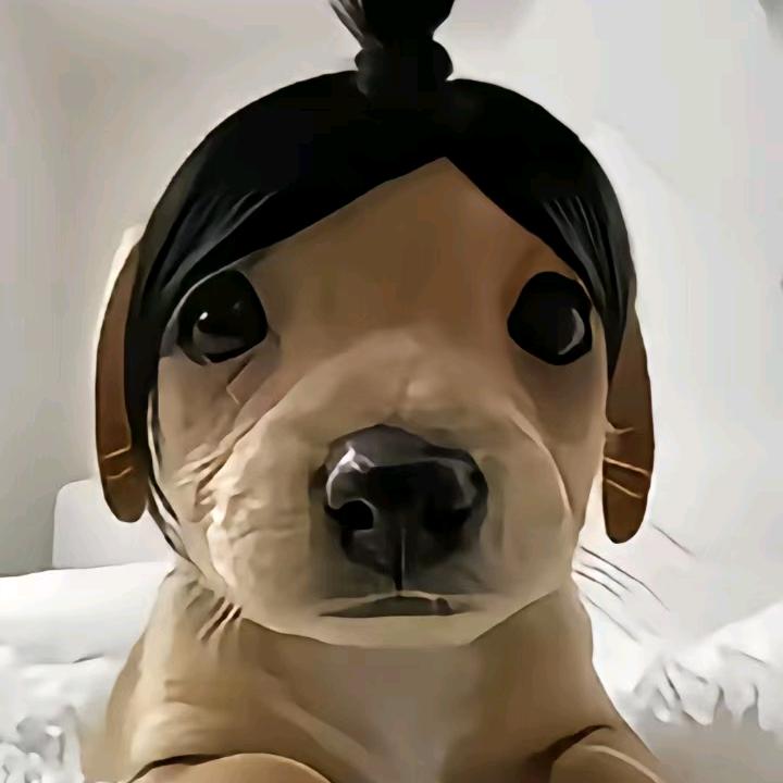 G-Y.披萨