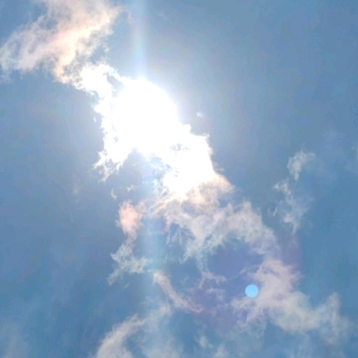 🇨🇳竹林彩虹🌈