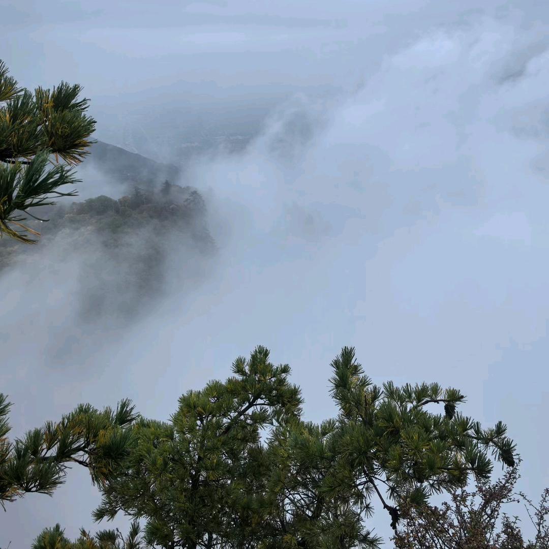 悠然自得