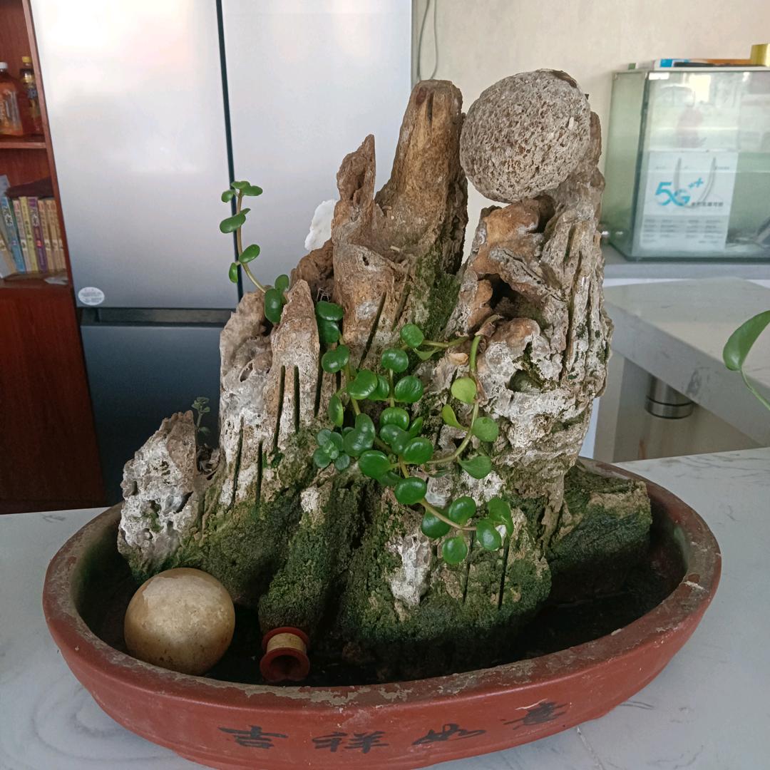 今生爱你