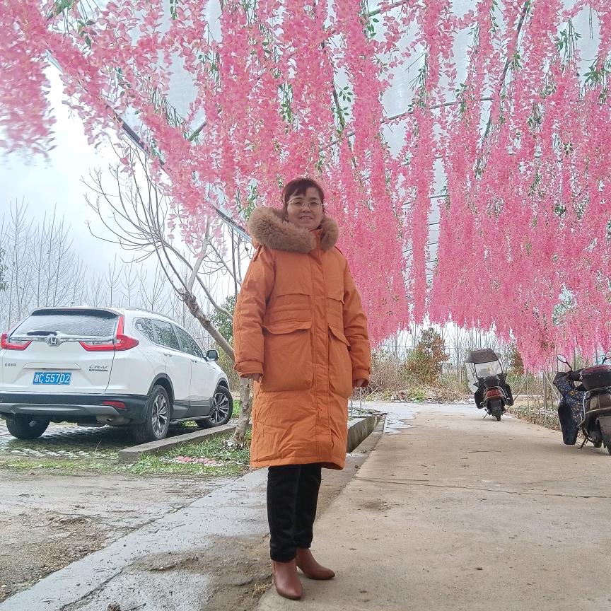 美美姐