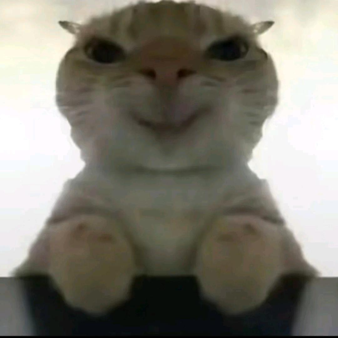 性感大野猪