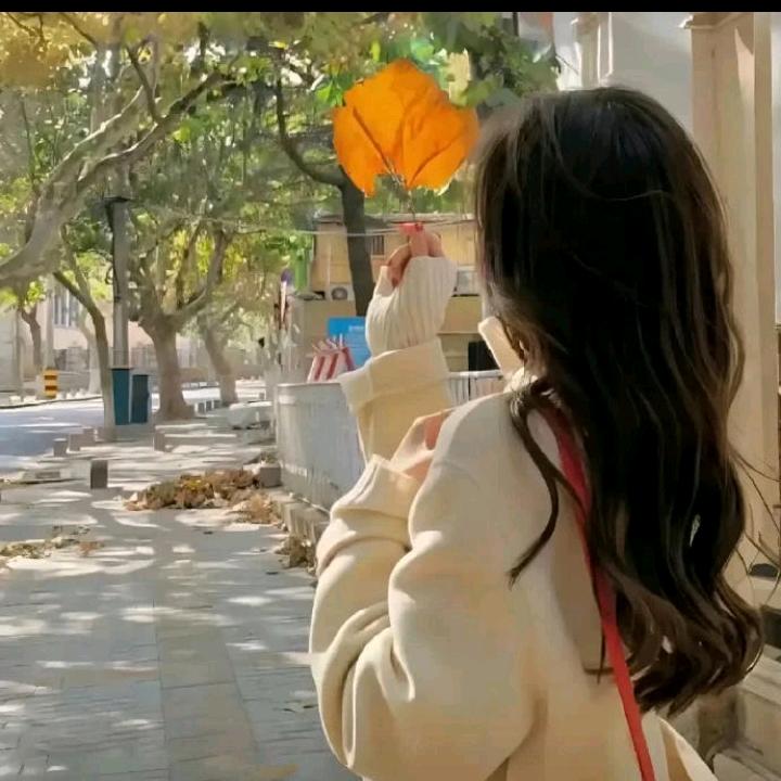 生活中不缺少美 ，只是缺少发现美的眼睛