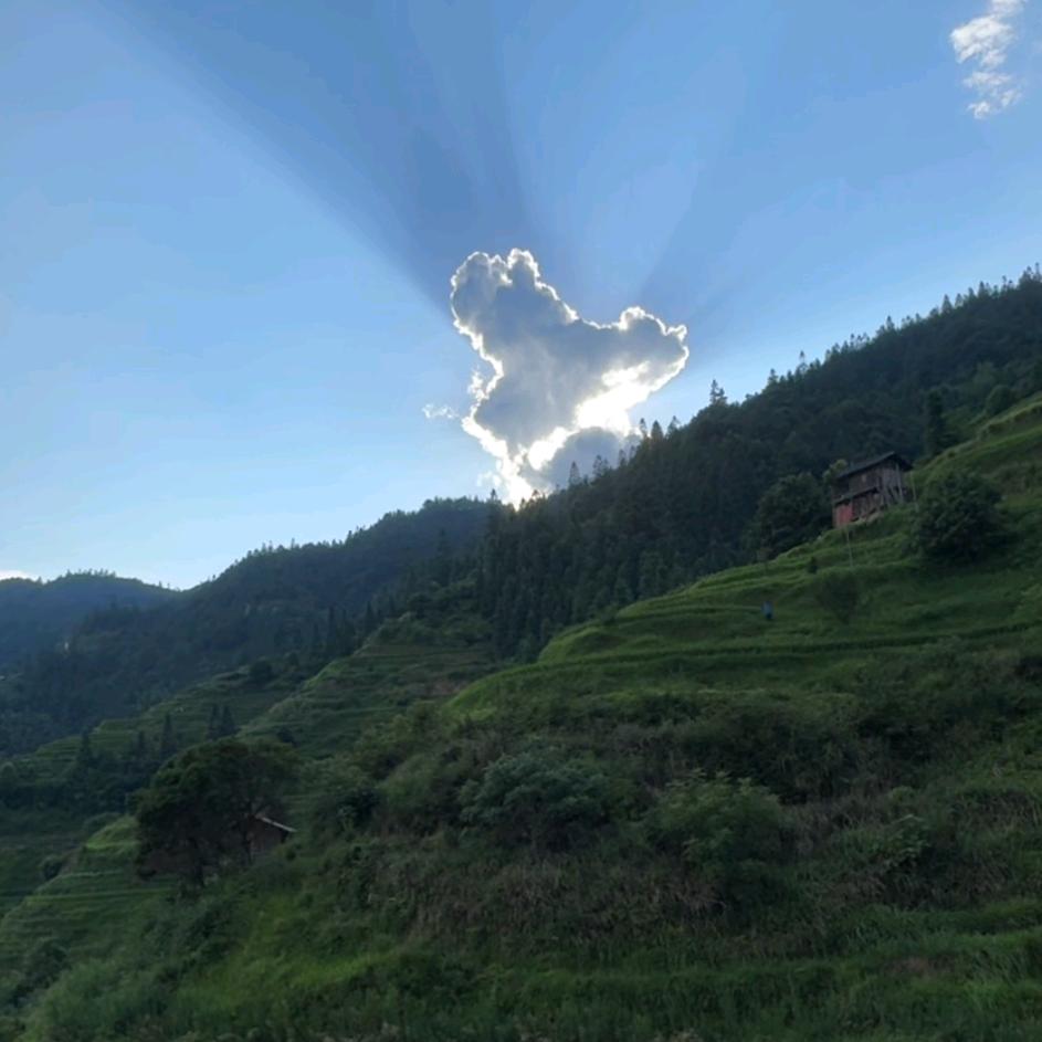 䴲忘か过往か