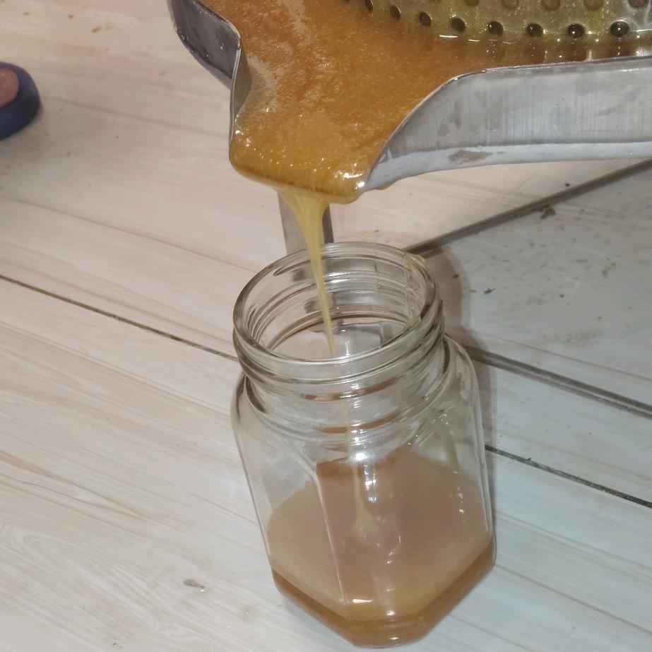 喜欢小蜜蜂的（小周周）