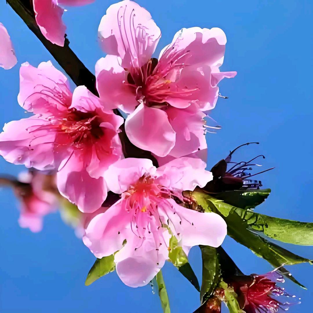 文盲理论培训小艾哥