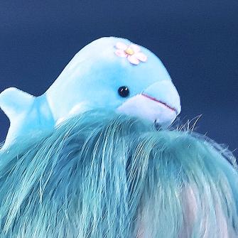 🐬DT