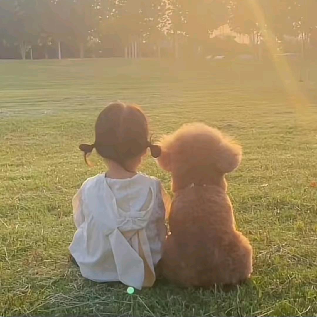 小爱