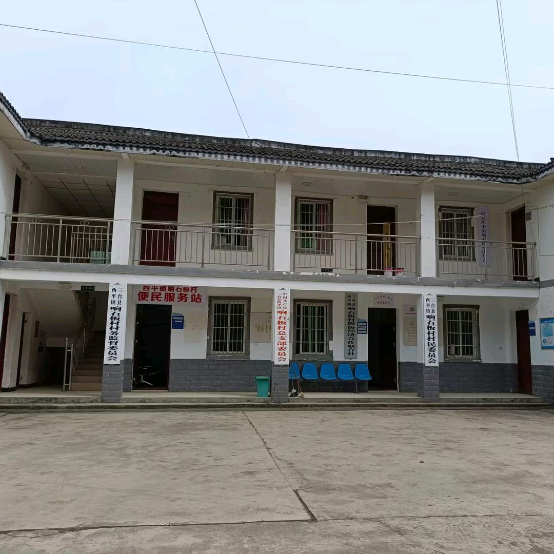 90后村干部竹发