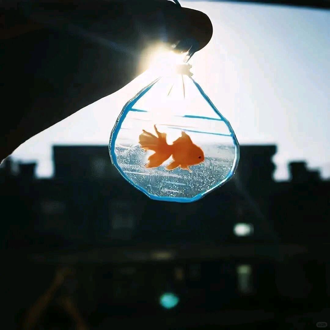 西红柿炒蛋