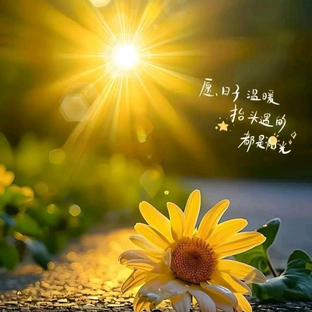 慧洁妈妈
