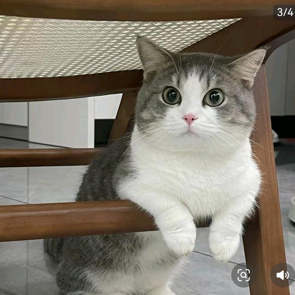 我是一个普通人