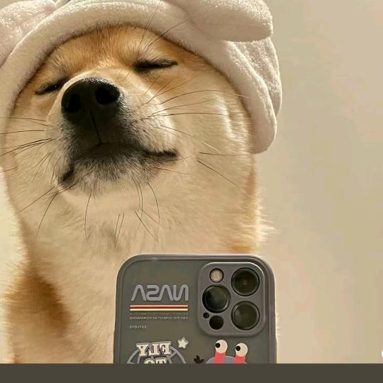 ，，，，