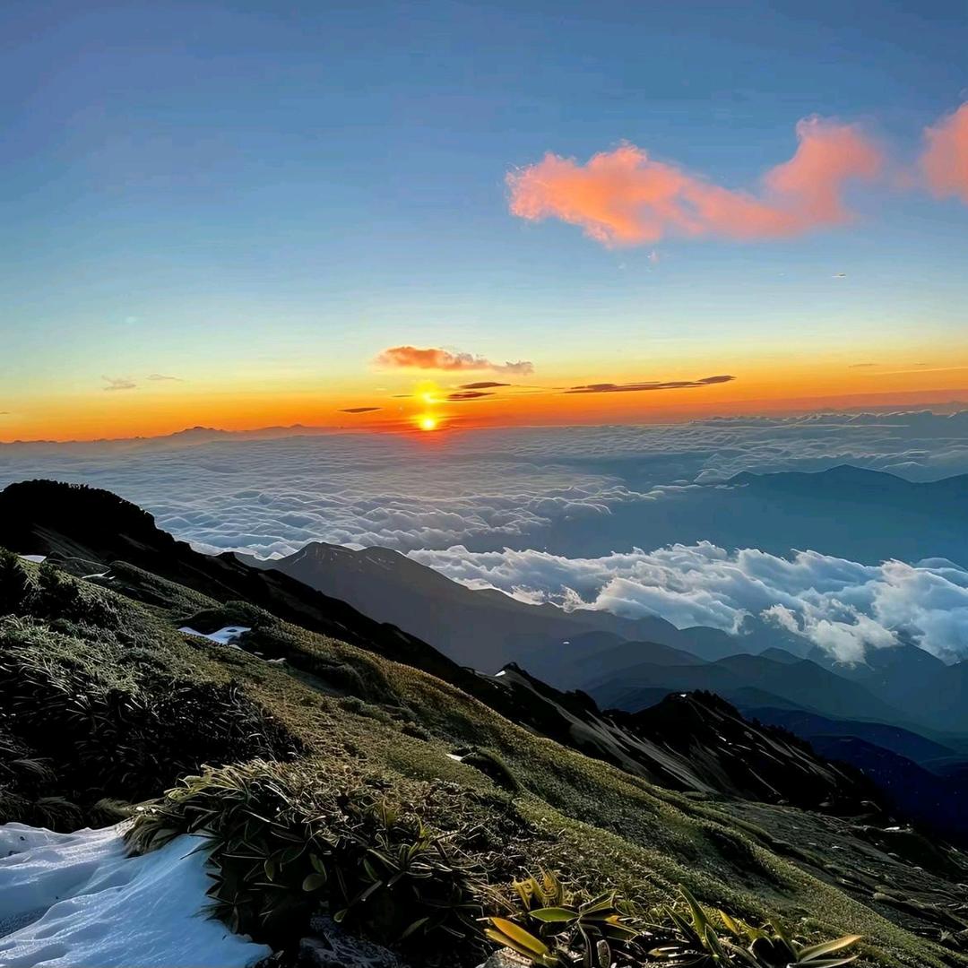 赤心为寄山河
