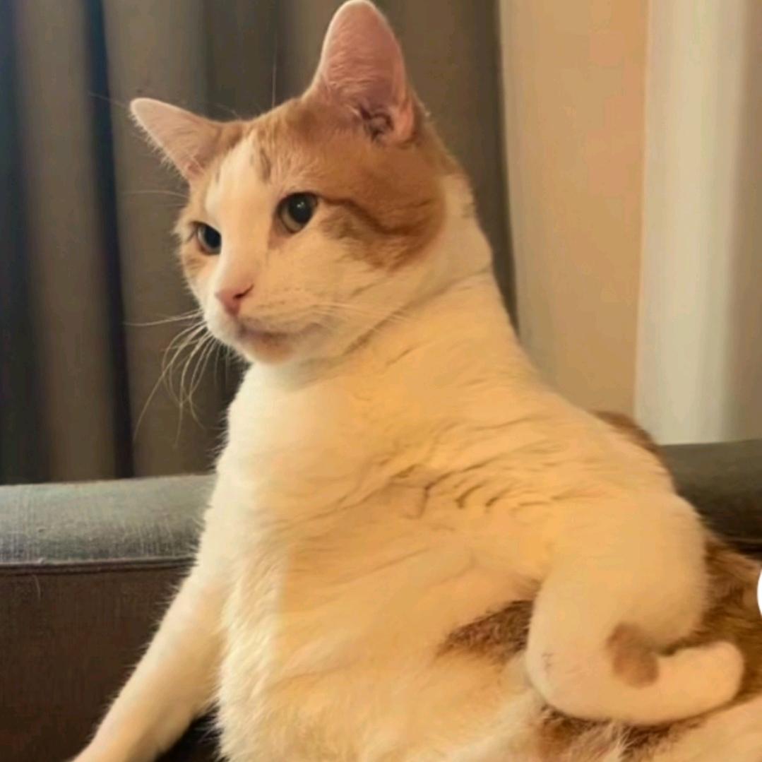 李糊糊