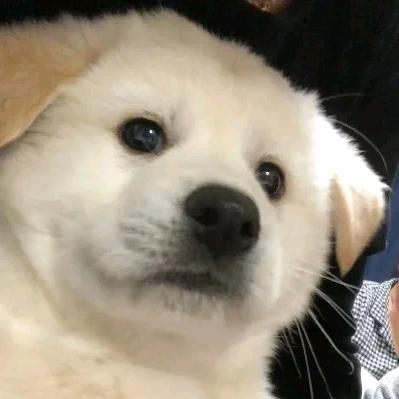 蜡笔修勾