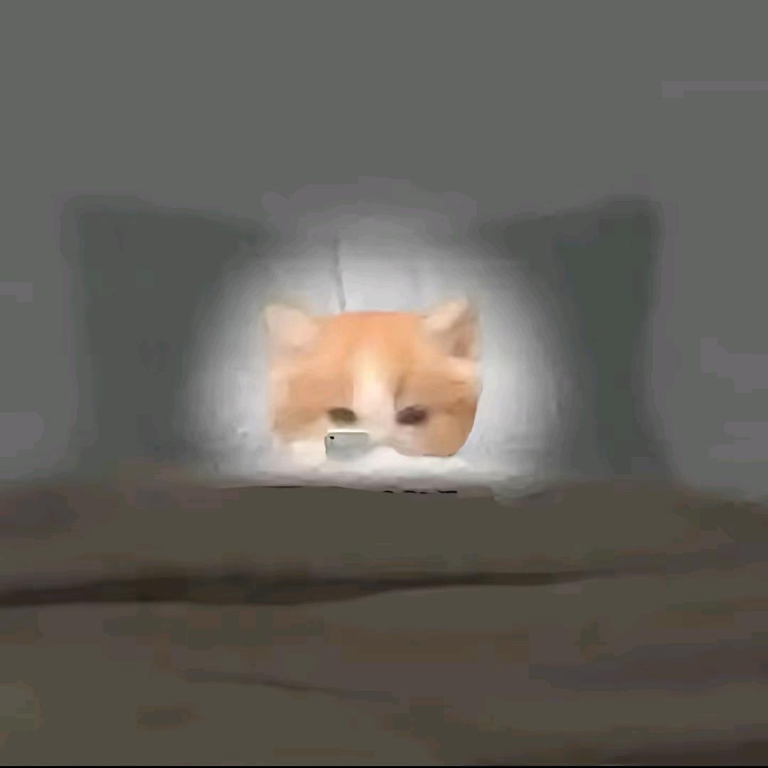 轩没糖