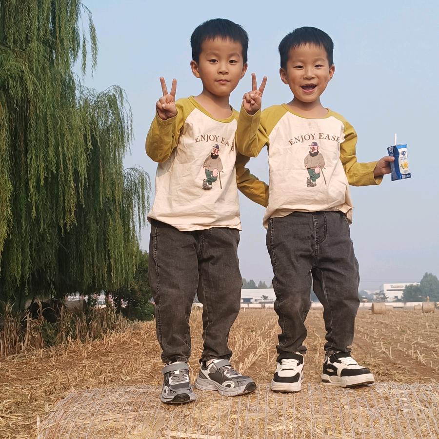 宜阳专业做外墙漆真石漆水包砂水包水