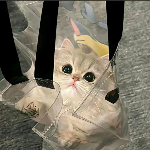 ᵀTingシ