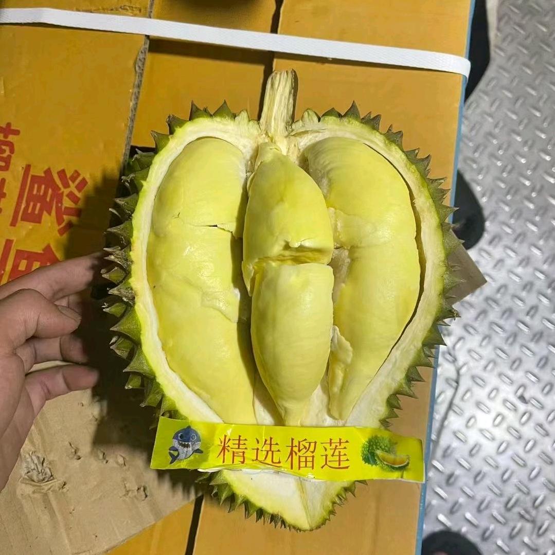 A#悟空疏果批发零售