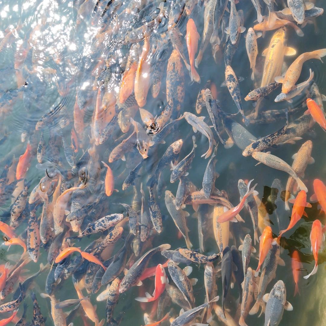 二十年的服装作坊