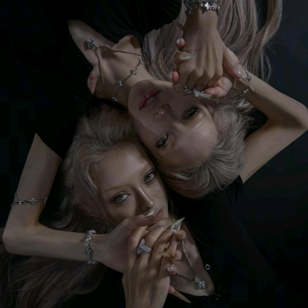 猫猫头