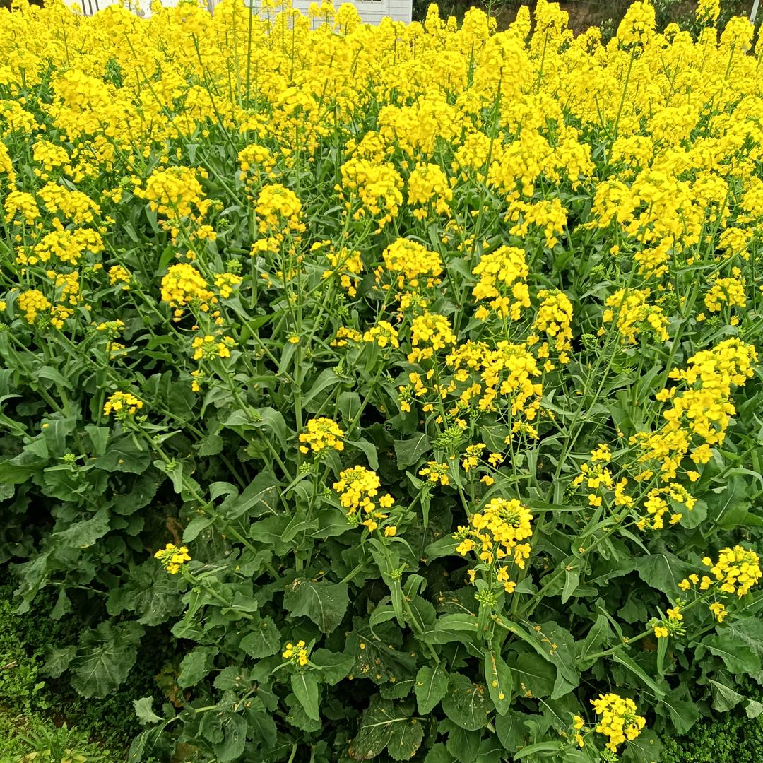 爱我，就不要伤害我