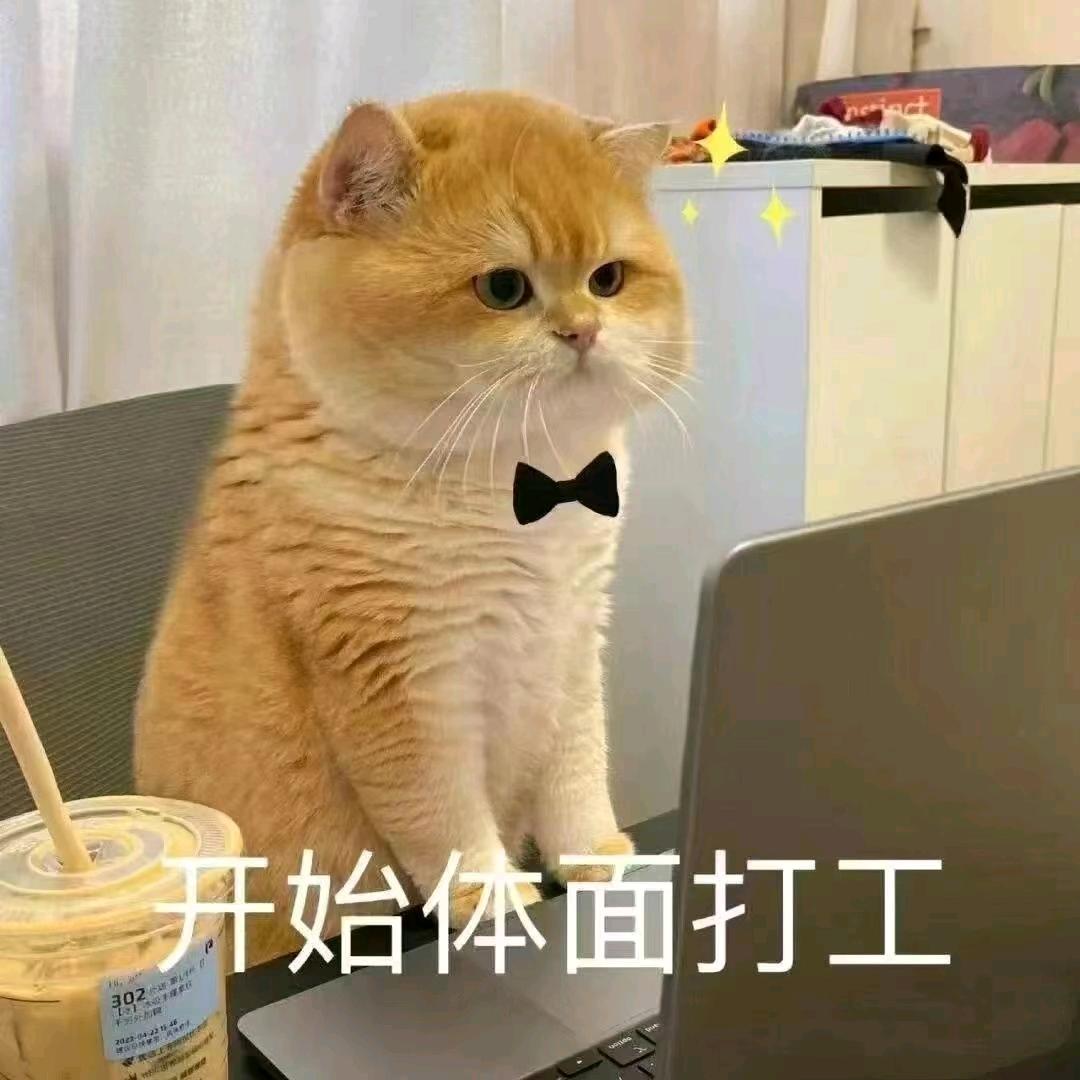 财务阿姨在职备考中