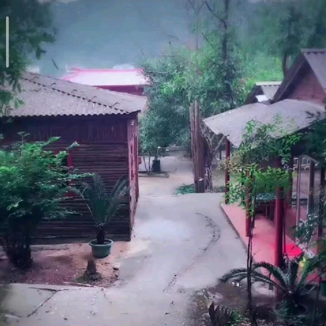 顾惜