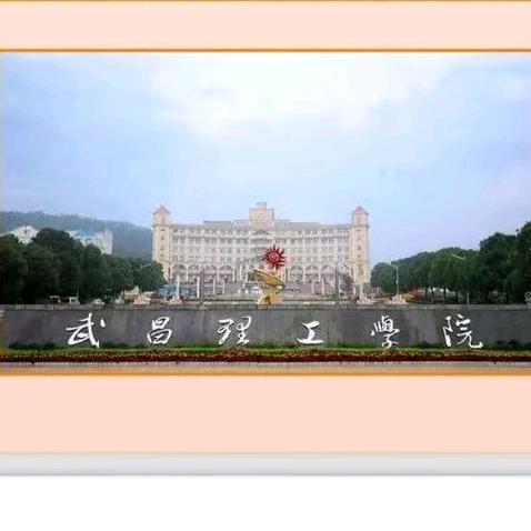 武昌理工大二学长