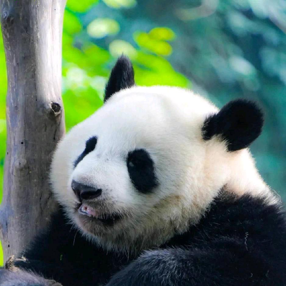 不容易
