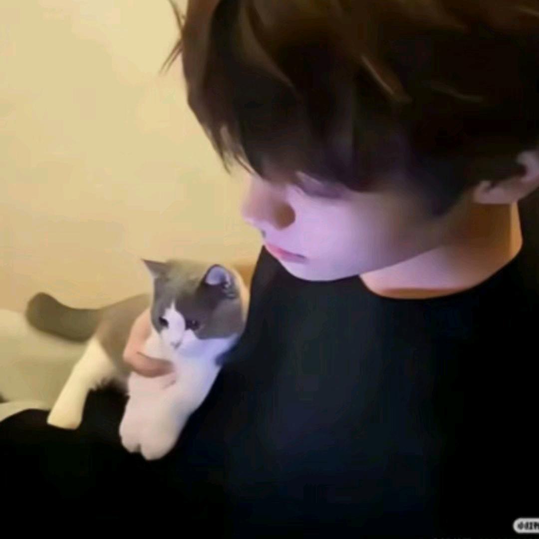 自己想办法追我.
