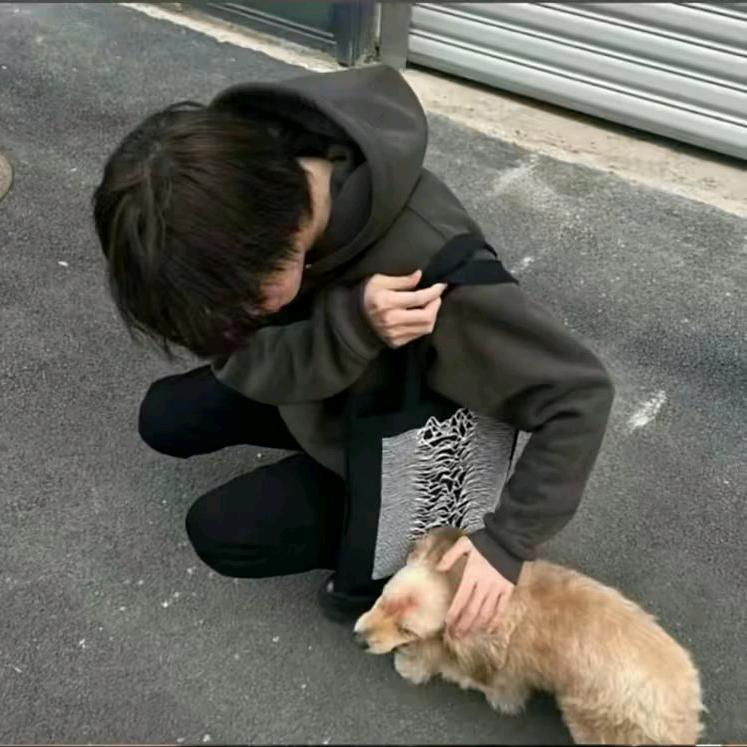 你说话的样子好可爱