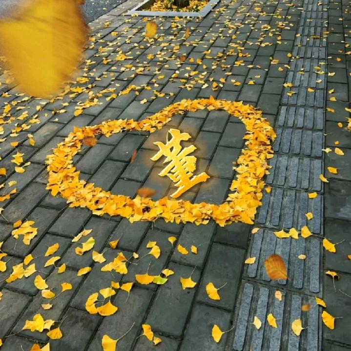 @招财猫的小铃铛