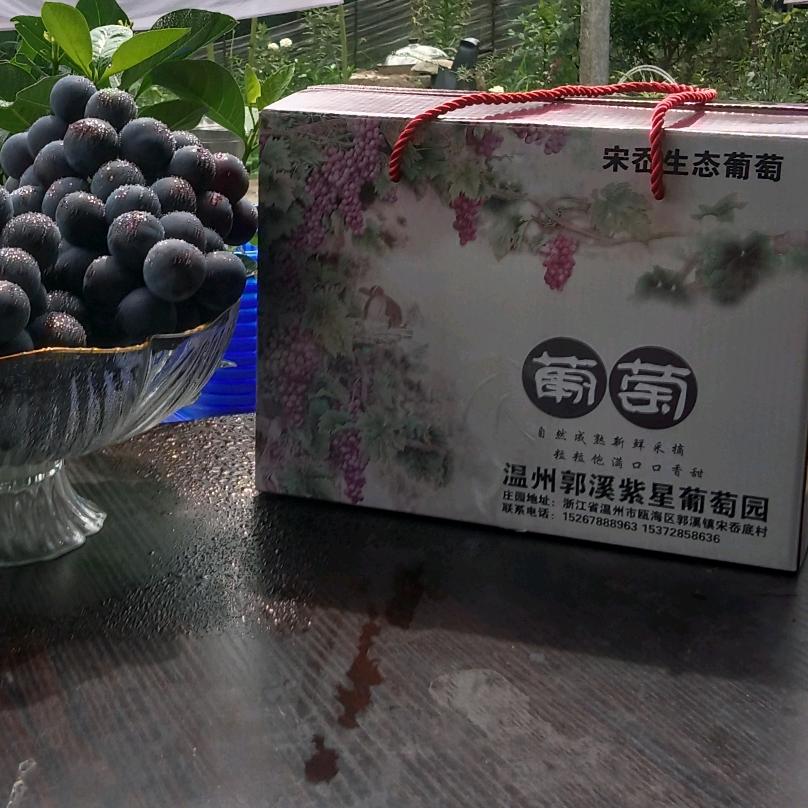 紫星葡萄园在郭溪