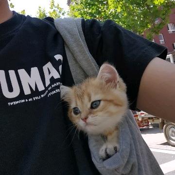 好吧我是严先生(๑><๑）【俄版】