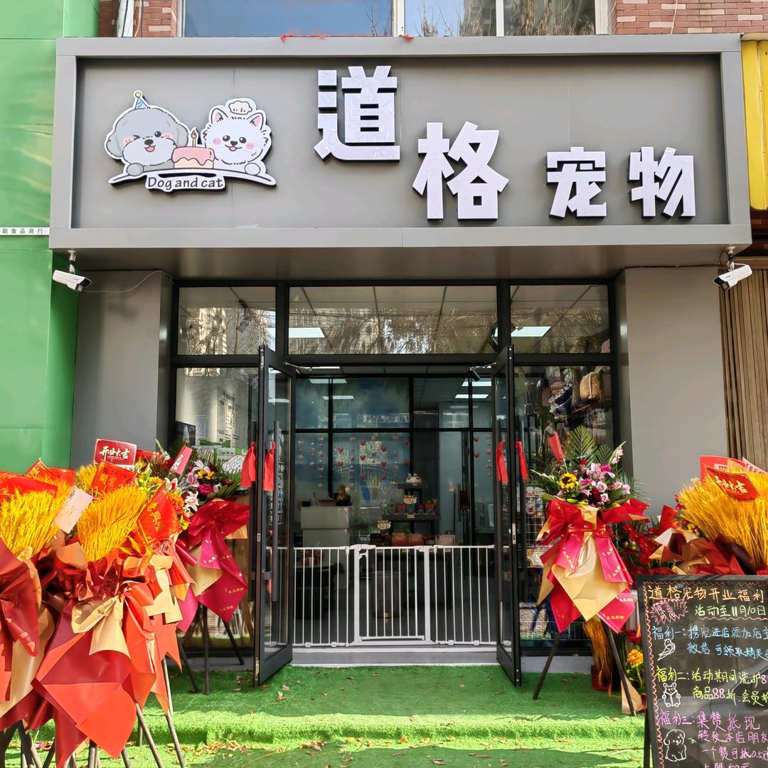 沈阳铁西道格宠物