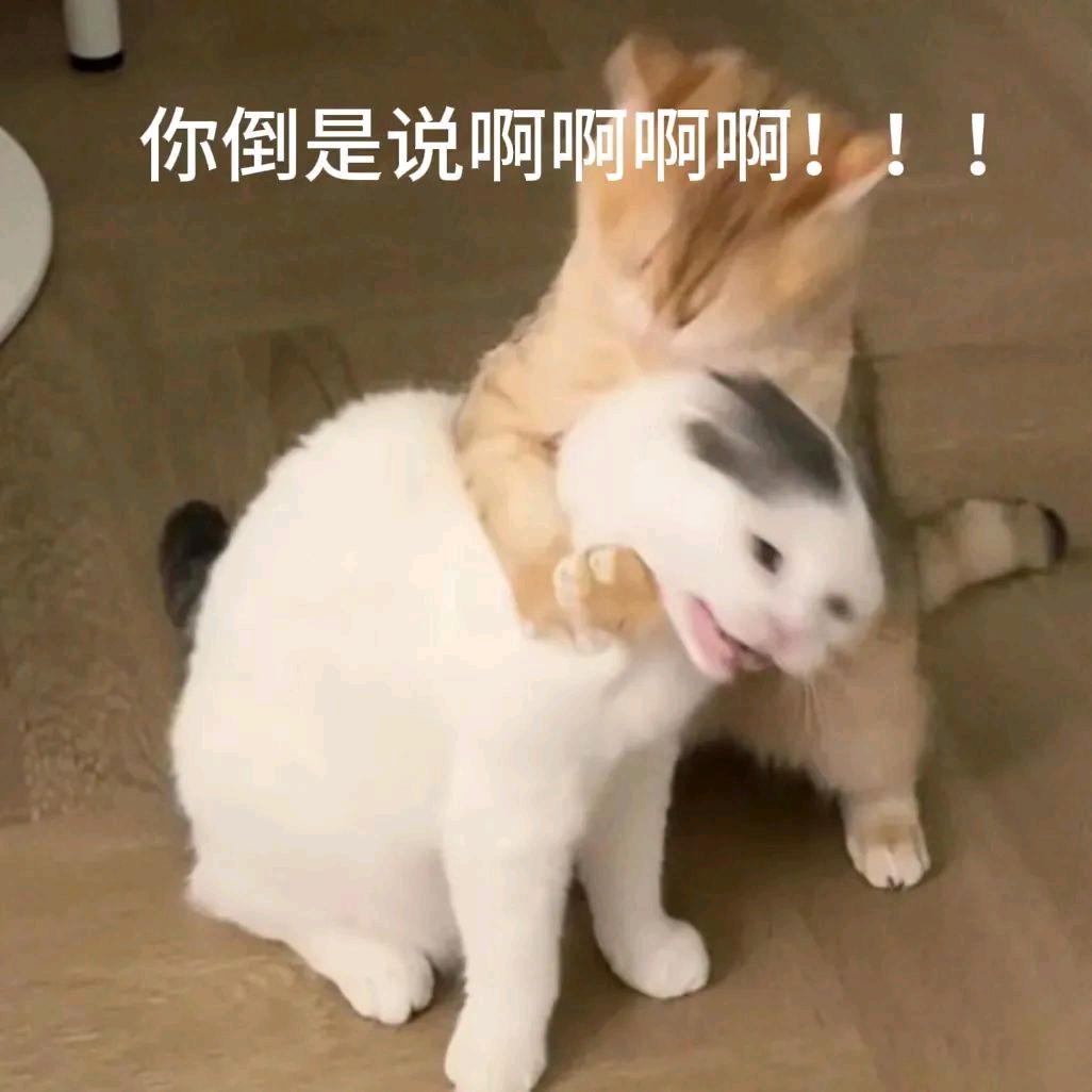 甜呼呼不孤单