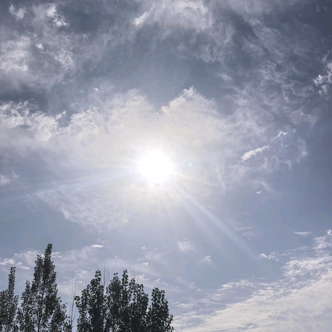 康一达木业实木拼板厂  烘干杨木拼板