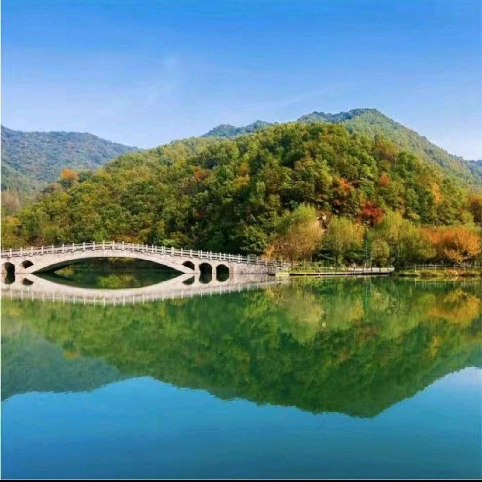 淡🍀然