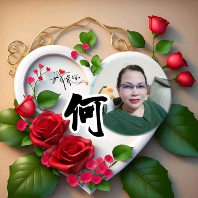 不老松