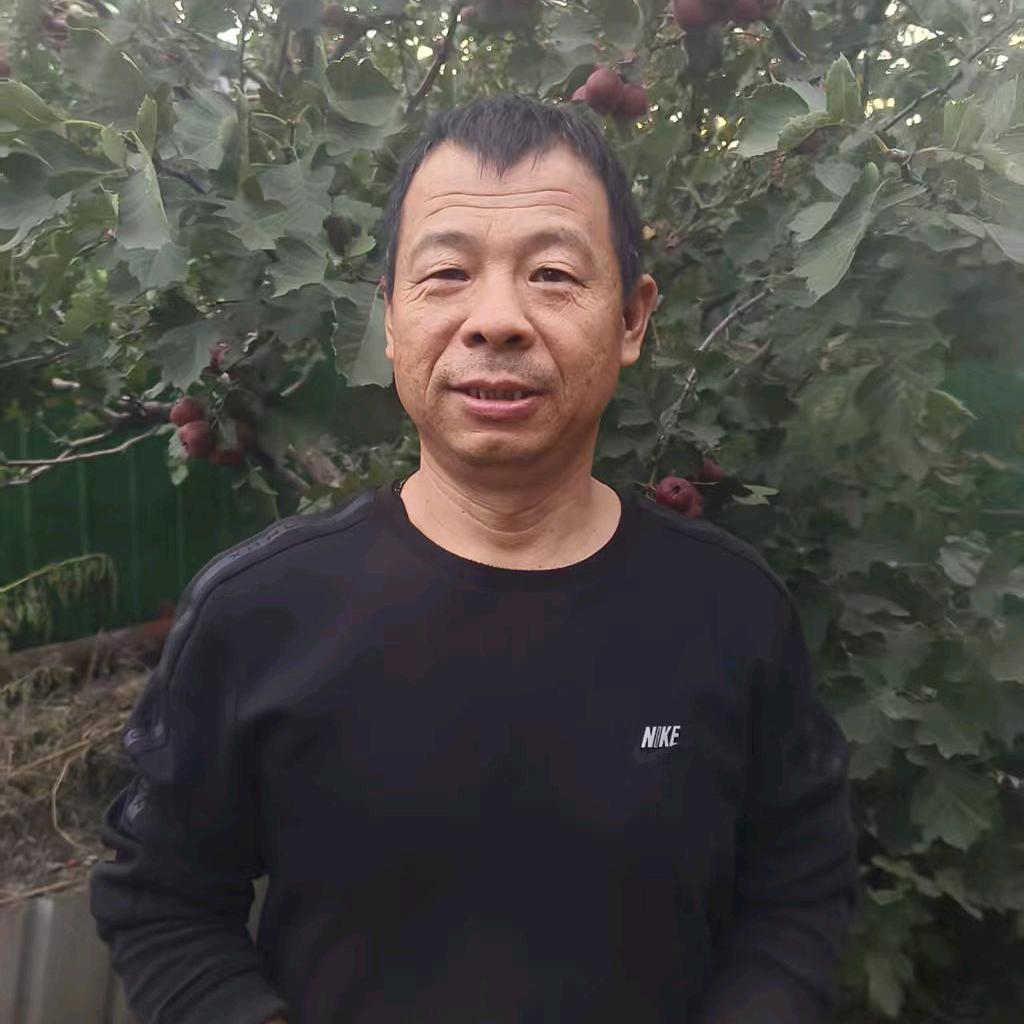 雄鹰展翅飞