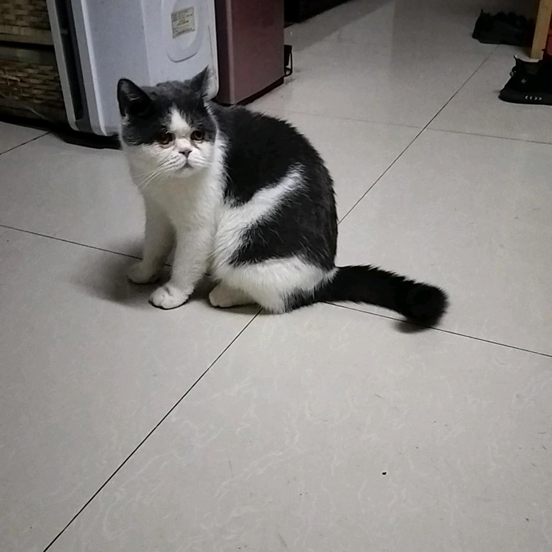 扳手王