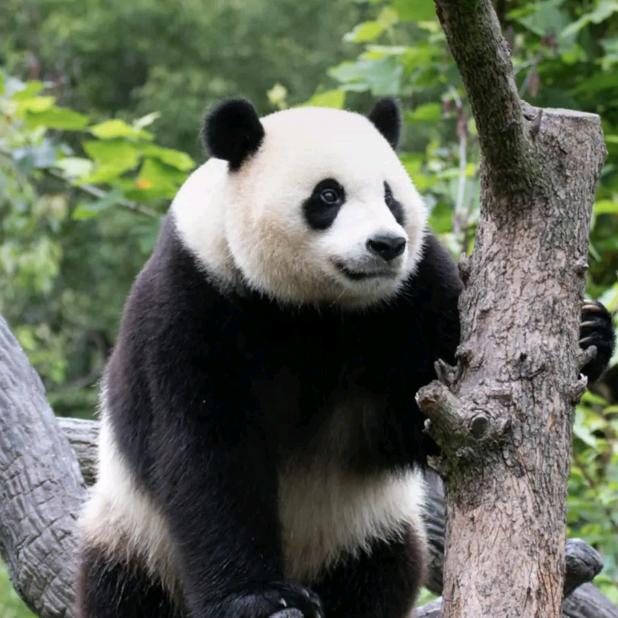 曾经最美