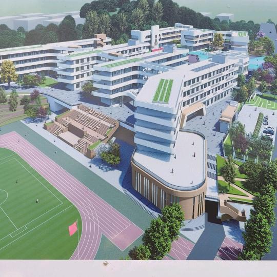 招🐱财🐱猫🐱