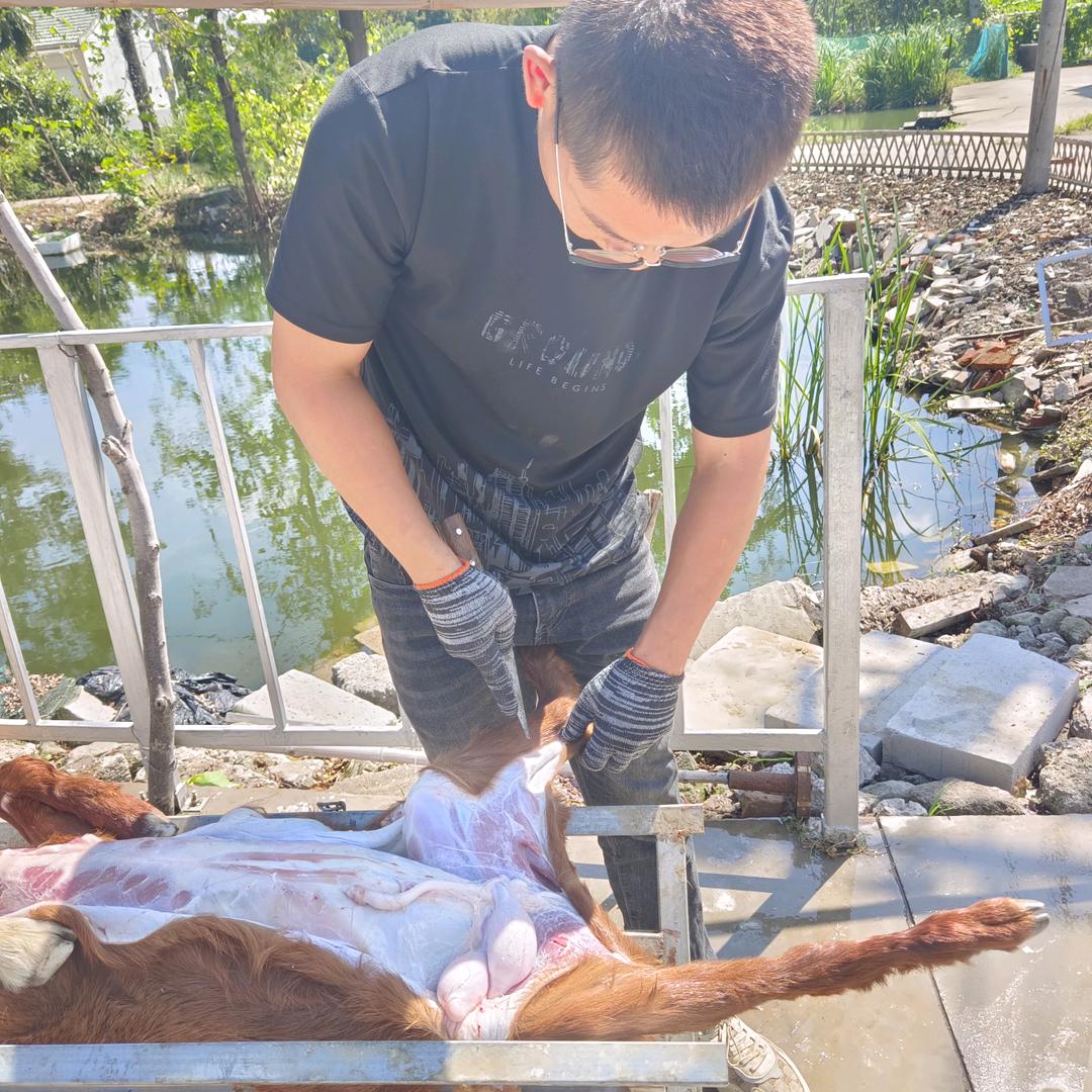 常州阿浩（流动烤全羊）