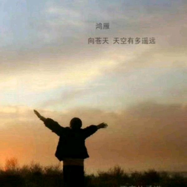 老莫