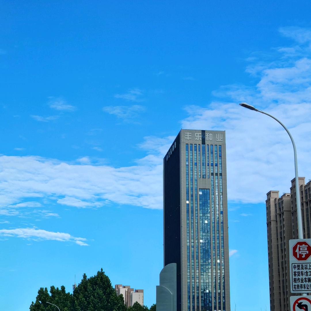 国投丰乐赵大川