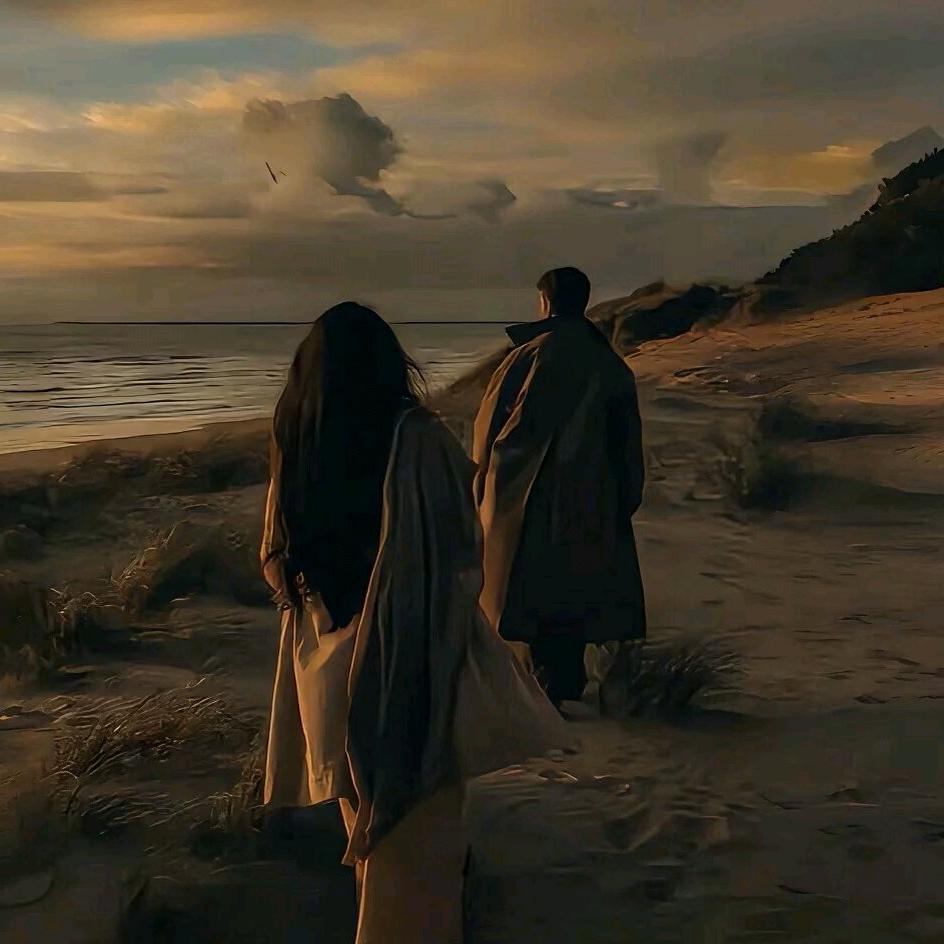 言情是场无声的言沙