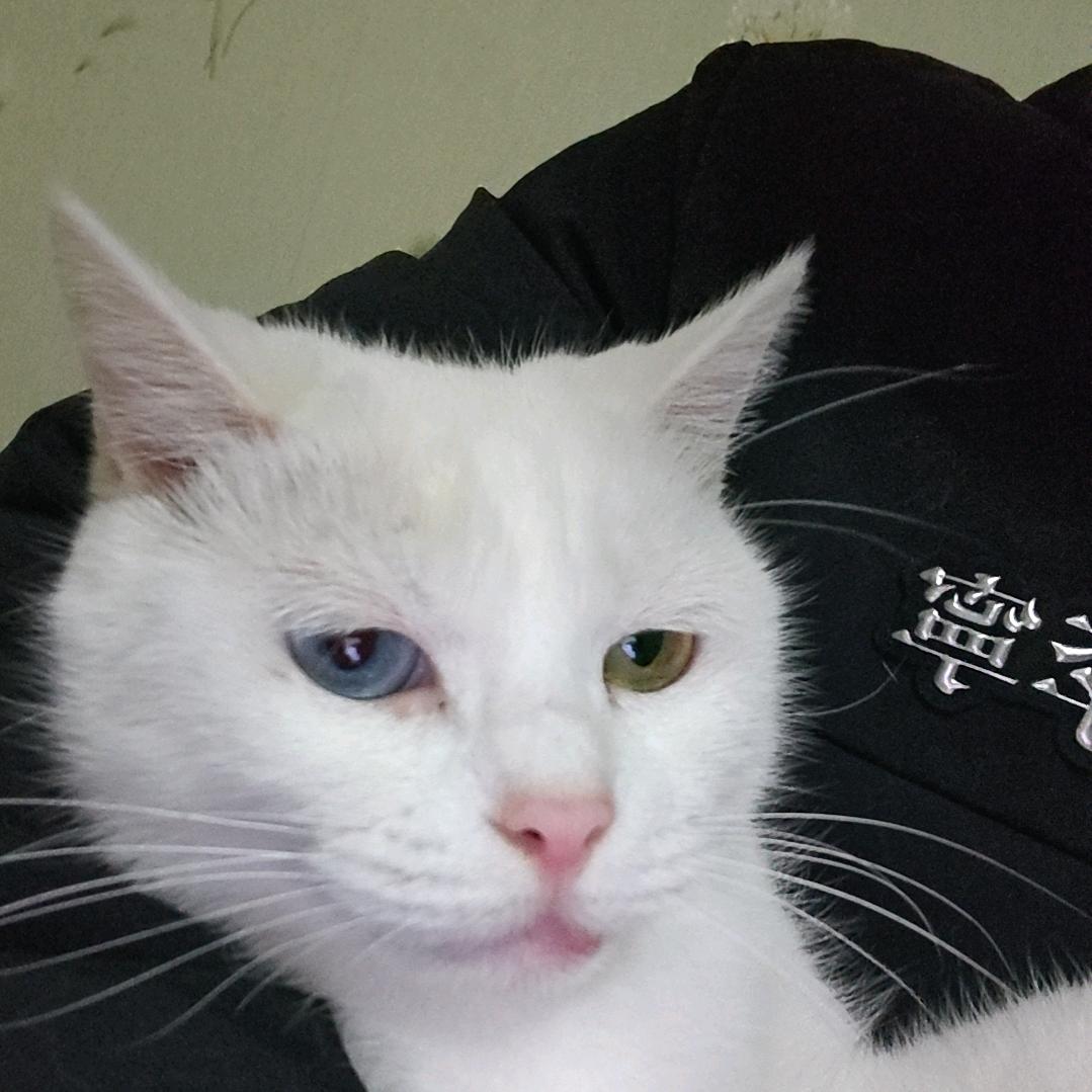 延安盈玖体育生活店